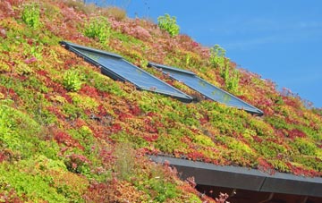 Dragonby living roof systems
