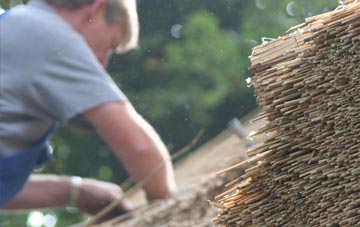 professional Dragonby thatchers