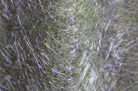 Dragonby fibreglass roof work